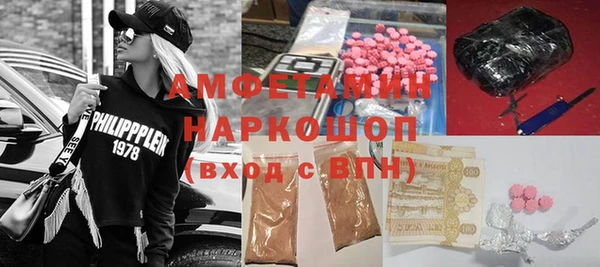 стаф Богданович